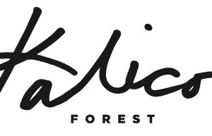 Kalico Forest Apparel — Shop the Collection